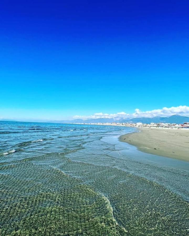 Hotel Pardini Βιαρέτζιο Εξωτερικό φωτογραφία